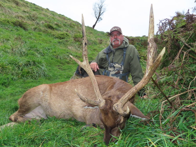 New Zealand rusa deer hunting trophy