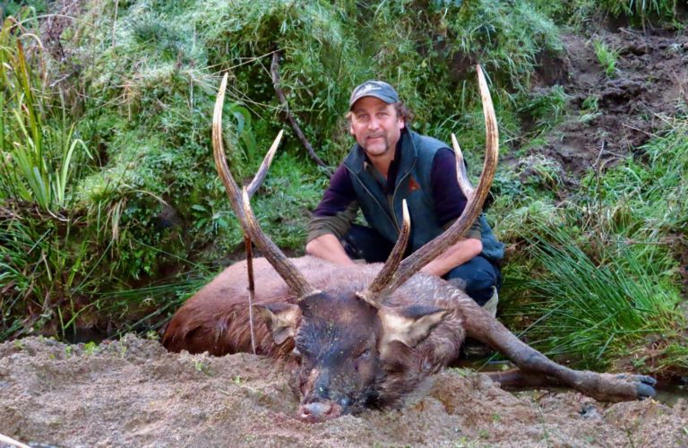 New Zealand sambar deer hunting trophy