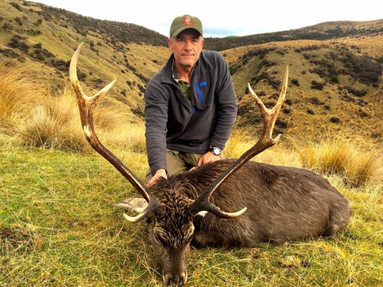 New Zealand free range sika deer