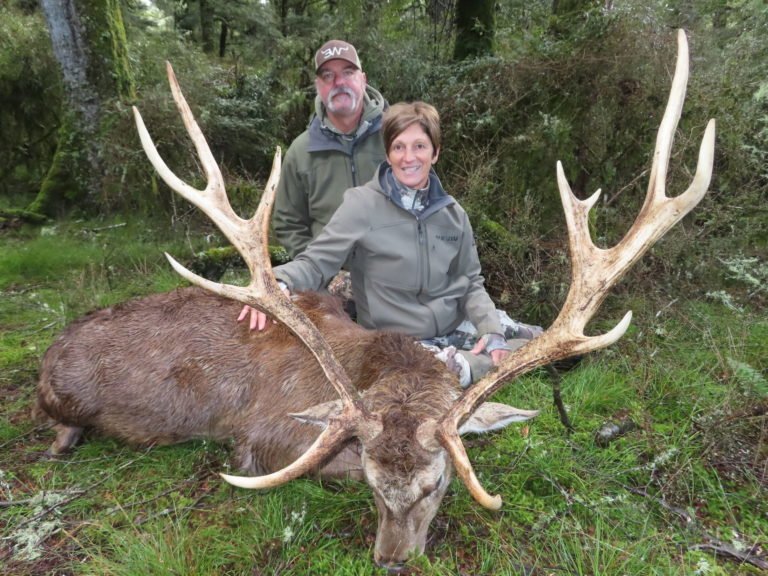 New Zealand sika deer, non-typical top 10