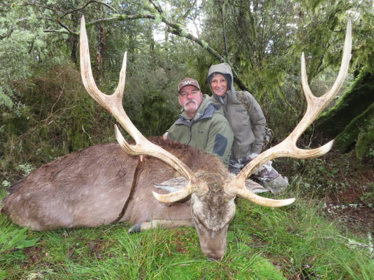 New Zealand sika deer, typical top 10
