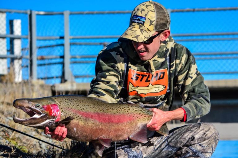 New Zealand trophy brown trout, 25 lbs