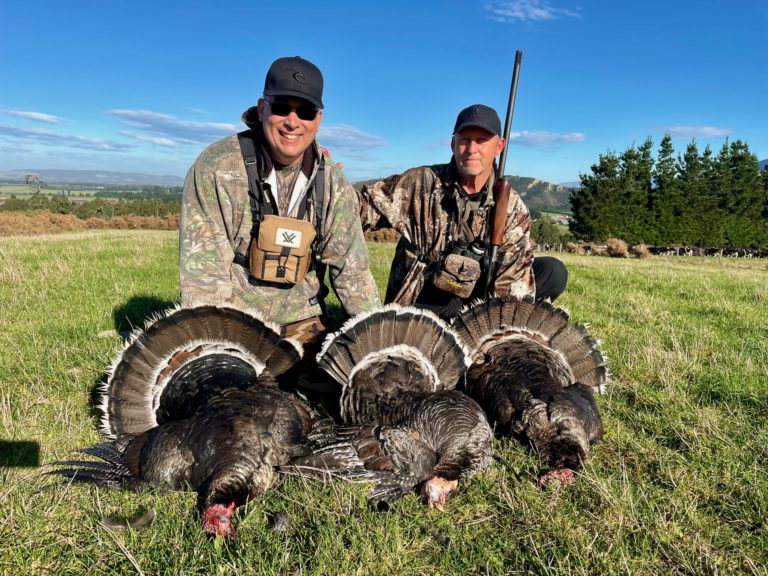 New Zealand turkey hunting trophy