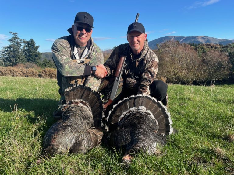 New Zealand turkey hunting trophy