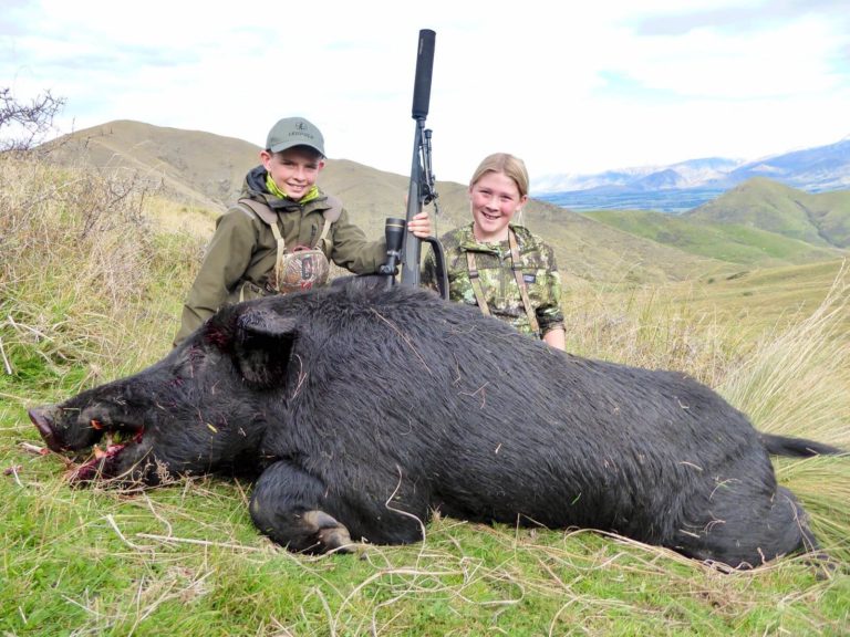 New Zealand wild boar trophy