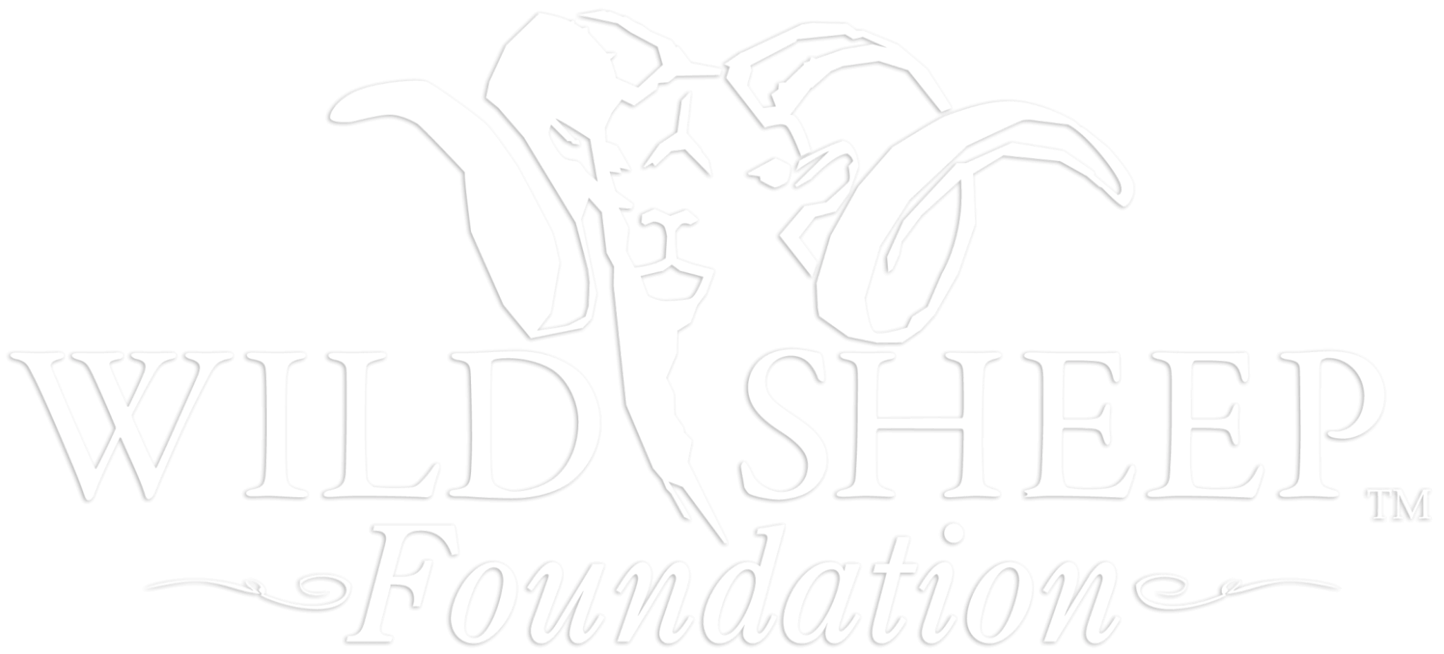 Wild Sheep Foundation