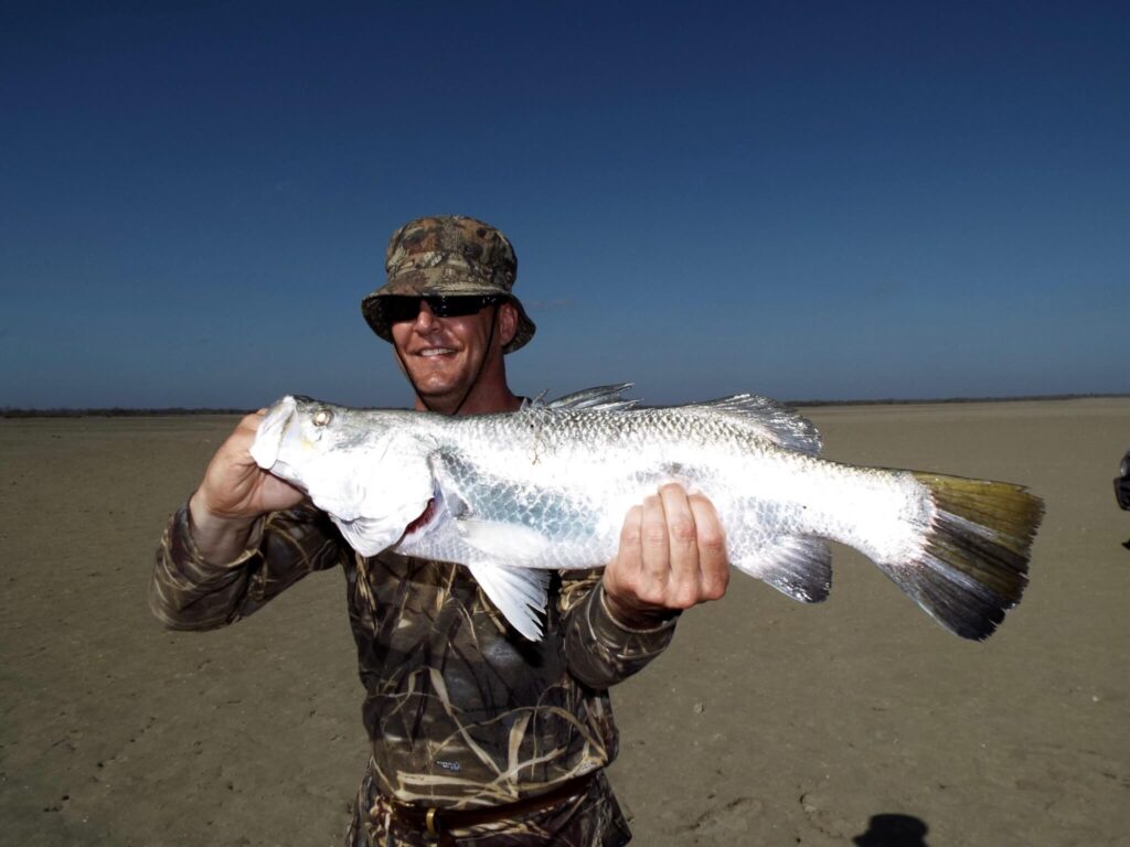 Barramundi from the Northern Territory