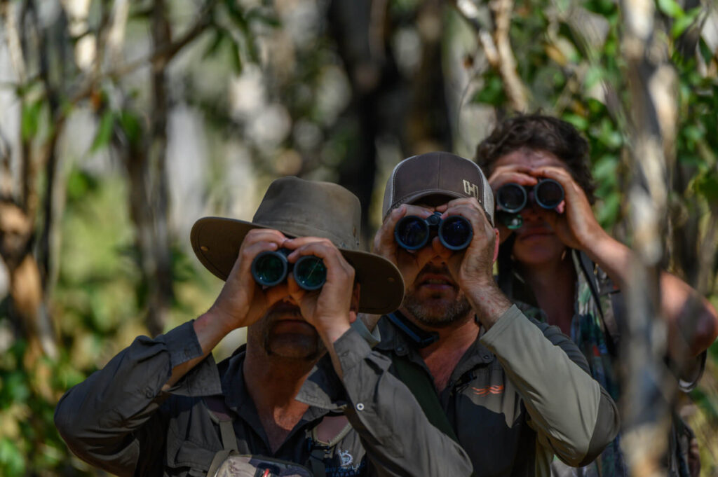 Glassing for Banteng with binoculars