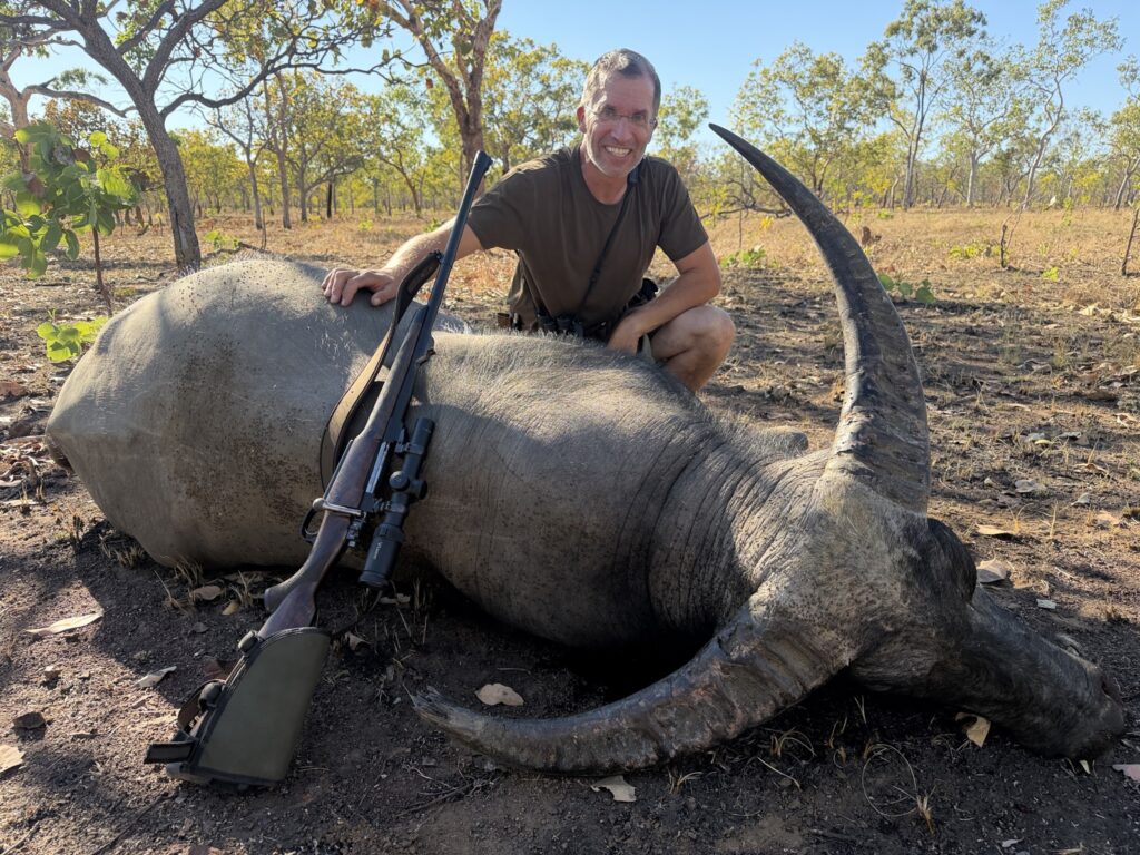 Hunter with a heavy-horned water buffalo bull