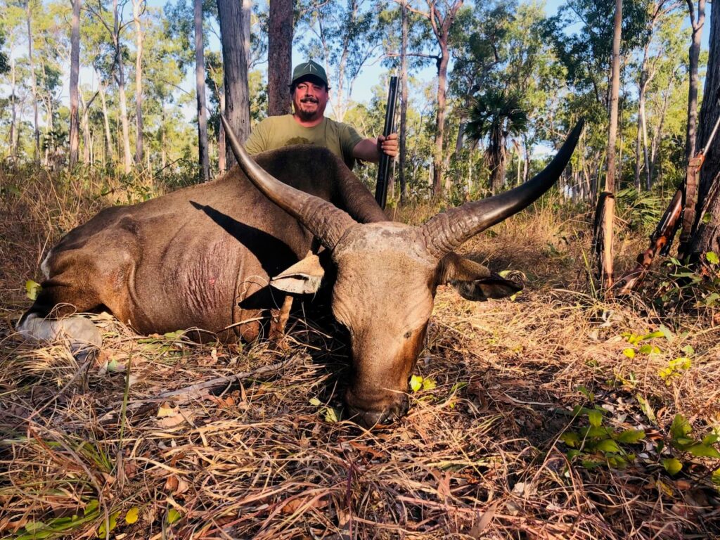 Hunter with a mature Banteng bull