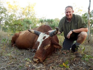 Hunter with a wild ox