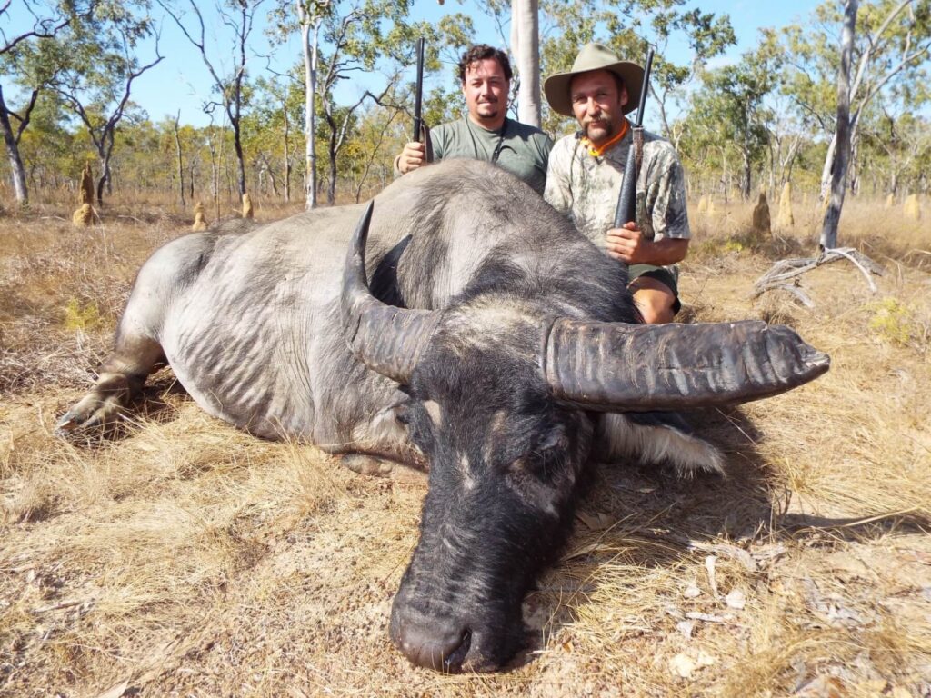 Hunters with a trophy water buffalo