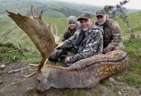 260 inch new zealand fallow buck hunting Trophy