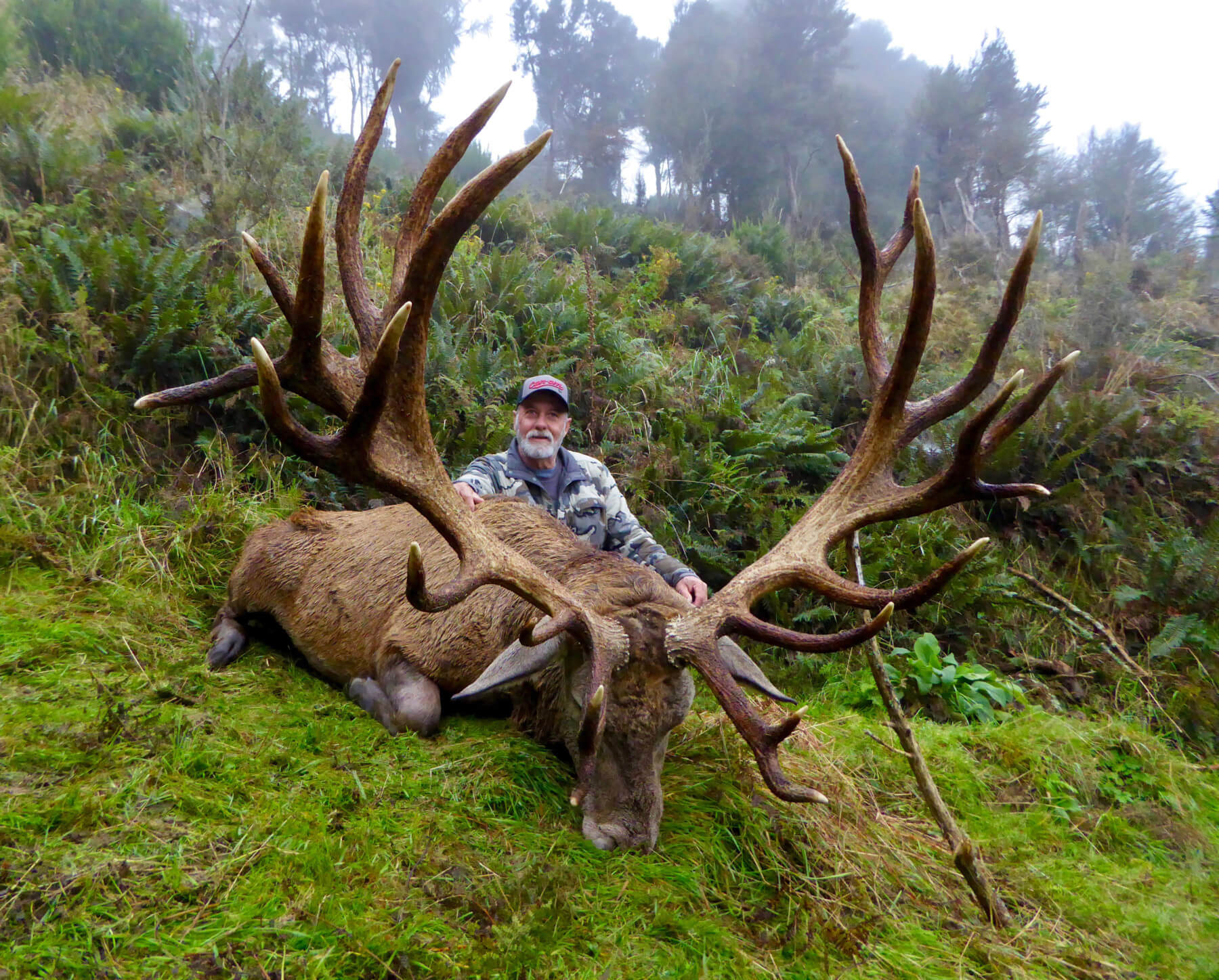 World Class New Zeland Trophy Hunting New Zealand Safaris   440 Inch Red Stag Crop 1 