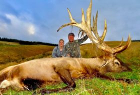 448 inch typical Elk new zealand
