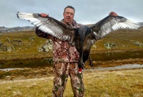 Bird shooting- Black Swan NZ