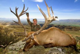 Elk Hunting 396 inches