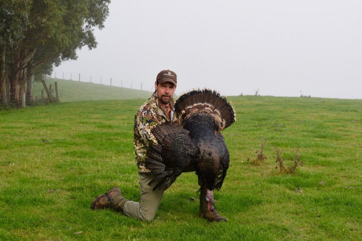 NZ turkey hunting trophy