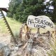 New Zealand Safaris ~ All Seasons Lodge Sign New Zealand Safaris ~ All Seasons Lodge Sign
