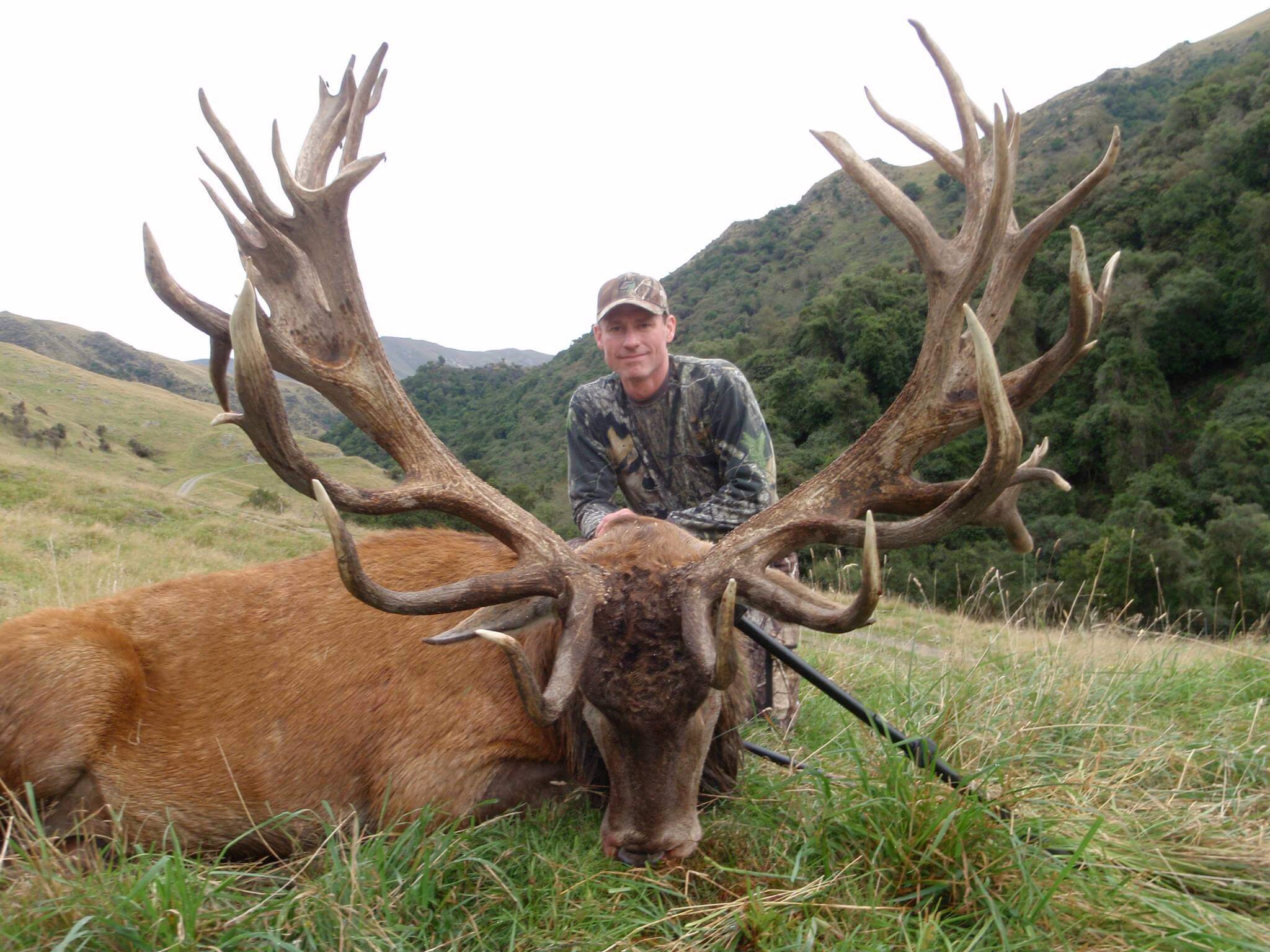 Red Stag · New Zealand Safaris