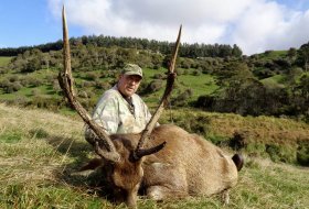 Rusa deer hunting new zealand