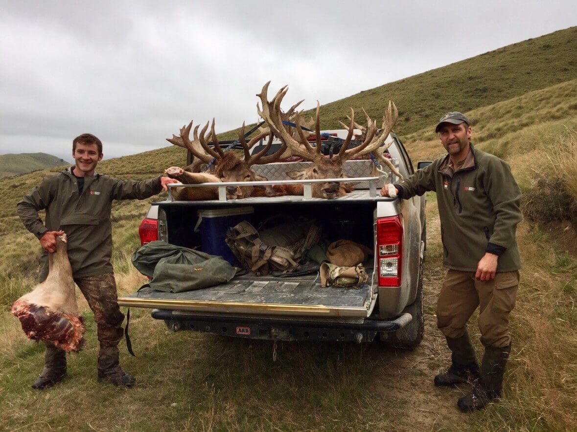 Taking Wild Meat Back Home from Hunting in New Zealand