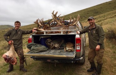 Taking Wild Meat Back Home from Hunting in New Zealand