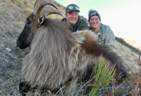Trophy Tahr