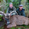 whitetail deer hunting new zealand