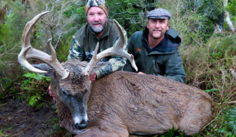 whitetail deer hunting new zealand