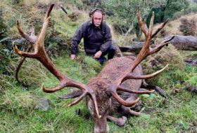 new zealand red stag hunt